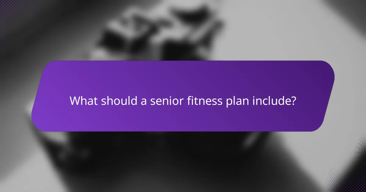 What should a senior fitness plan include?